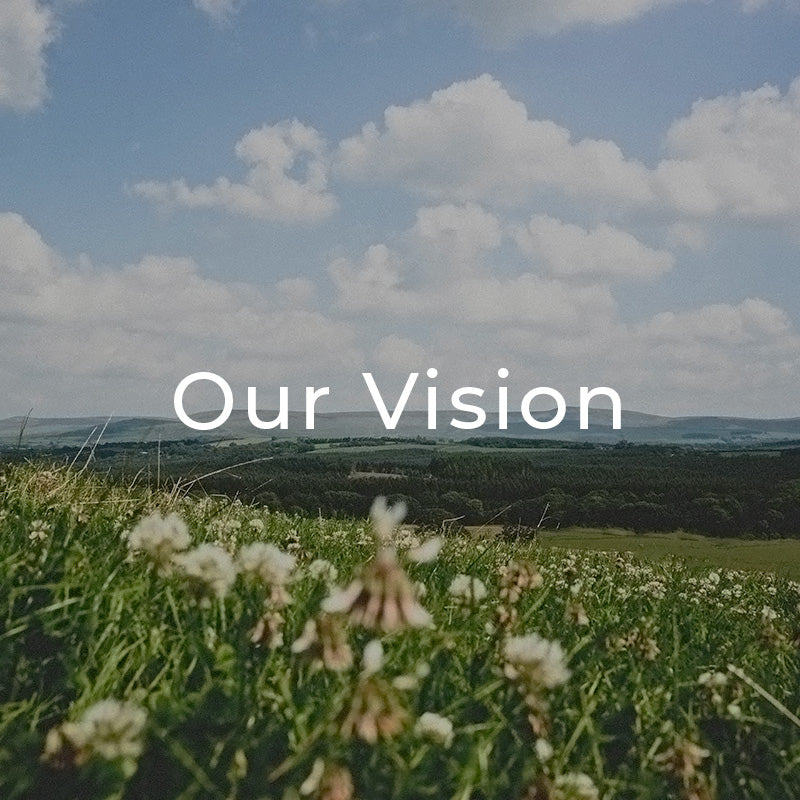 Our vision square.jpg__PID:405b87da-de47-484a-ab15-d4c10186b3f6