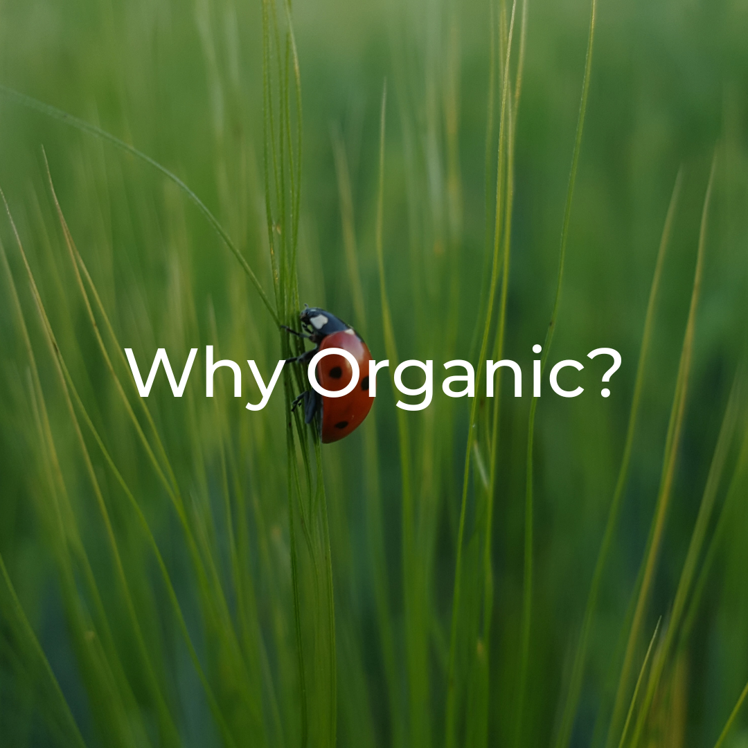 why eat organic?