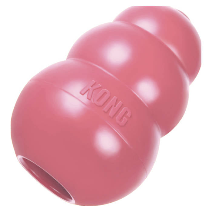 kong treat toy