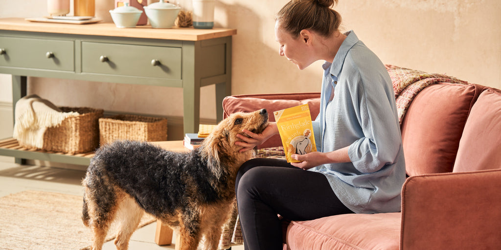 Owner rewarding their dog with Forthglade Banana and Honey dog treats