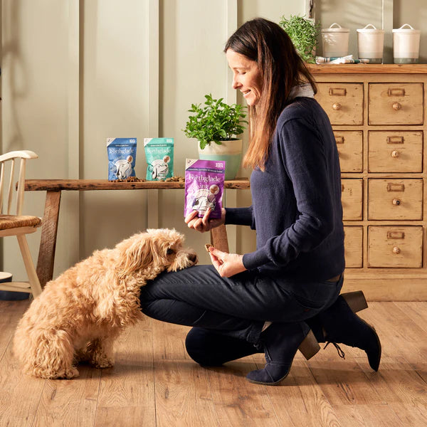 Dog resting head on owner's leg, whilst waiting for a Forthglade Calming treat