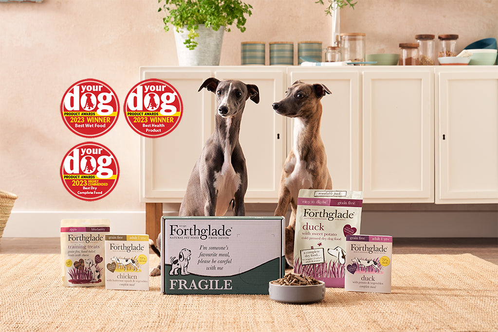 Forthglade Award Winners Your Dog Magazine