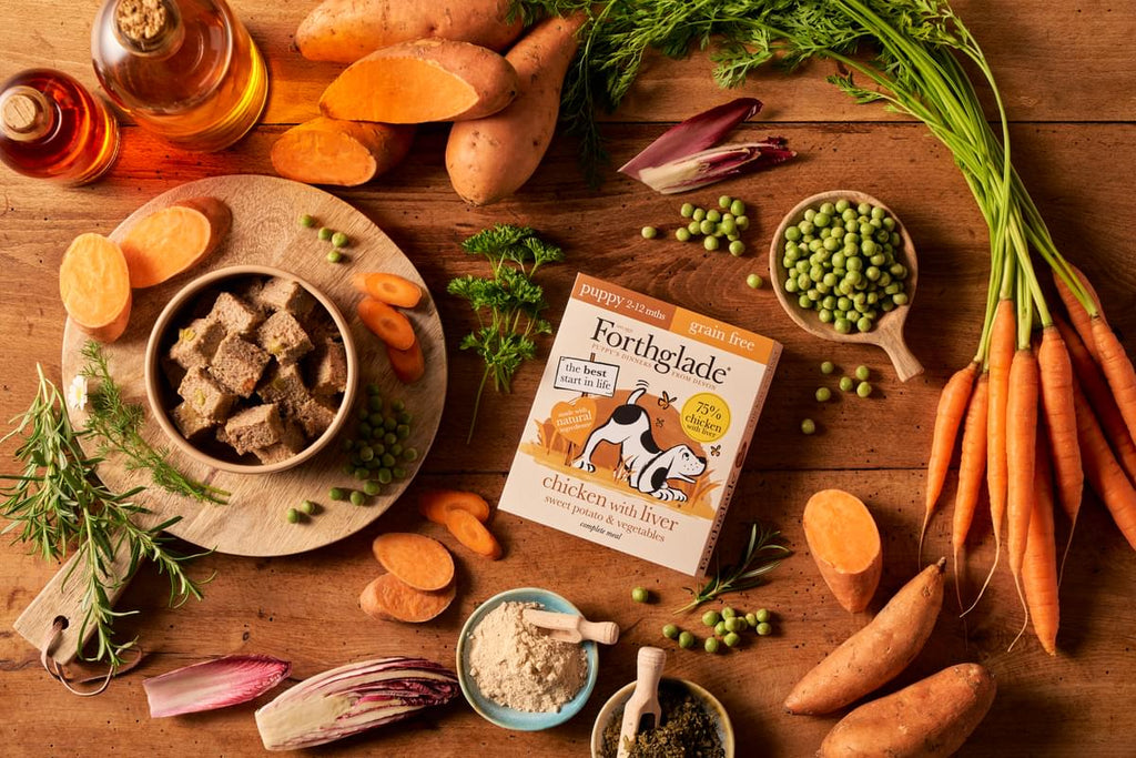 Forthglade puppy food surrounded by the natural ingredients and vegetables