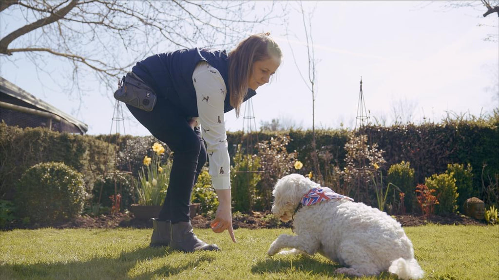 Caroline Wilkinson trick training for senior dogs