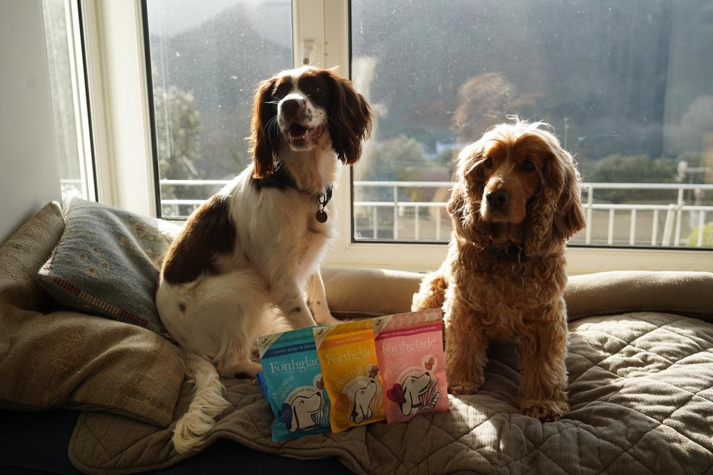 Hebe and Purdey Forthglade multifunctional soft bite treats