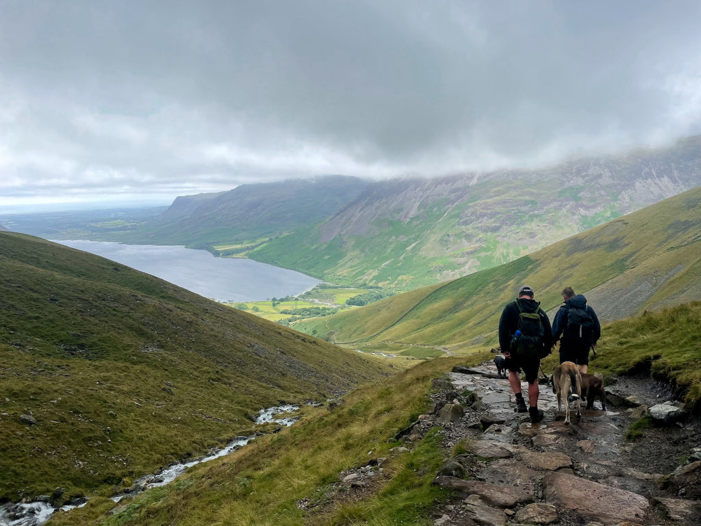 dog walkers on Scafell Pike