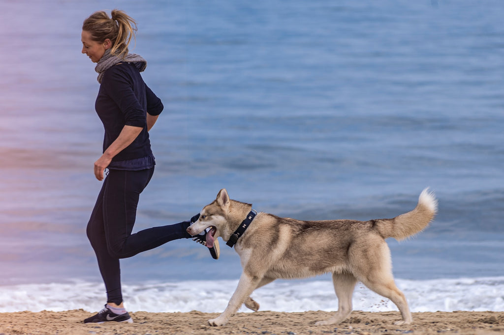 woman running with her dog along the shoreline of a beach