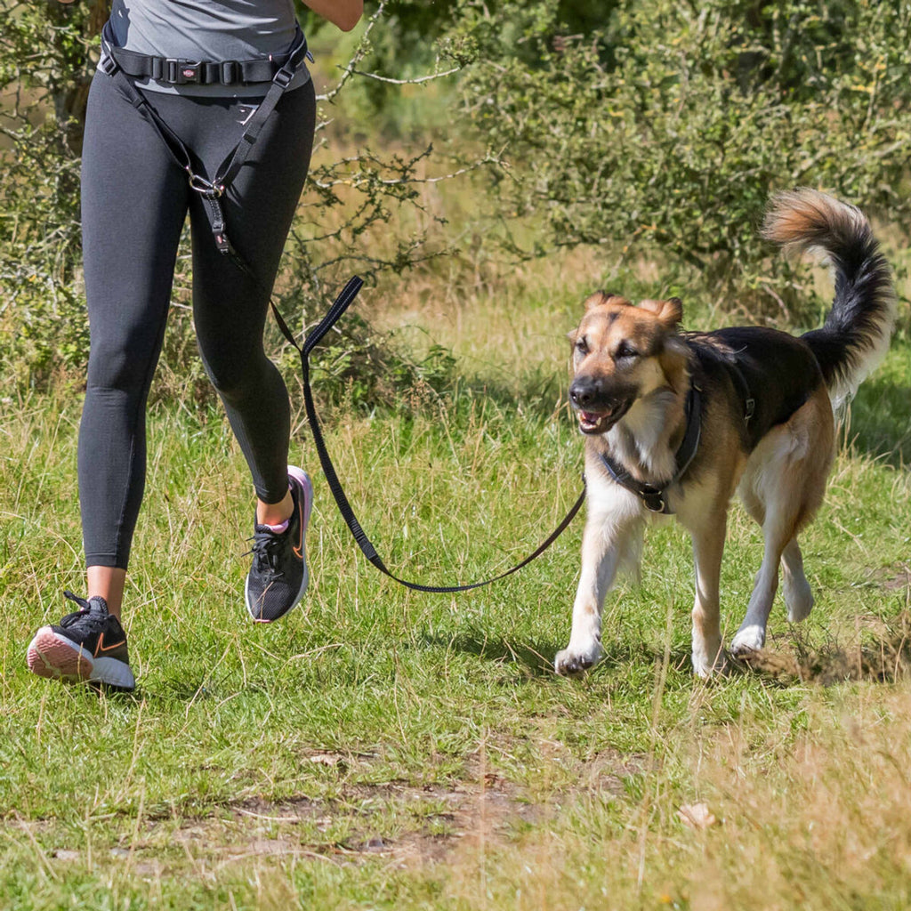 Canicross Running Waist Belt and Running Line from Innerwolf