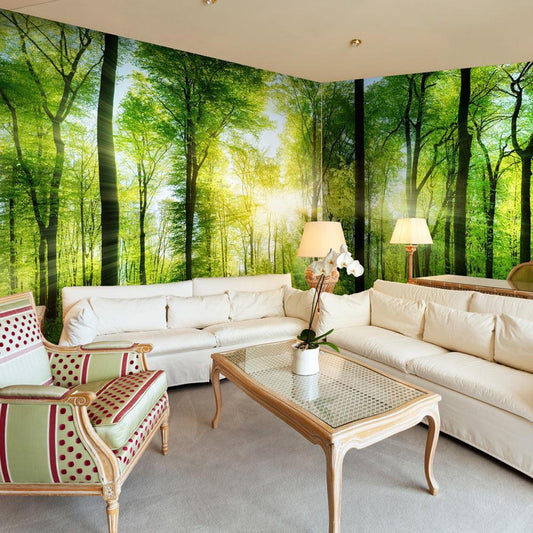 Peel and stick wall mural - Forest: Sunrise - www.trendingbestsellers.com
