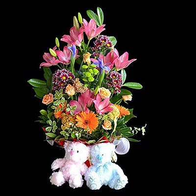 Baby twins gift box colorful flowers two teddy bears package