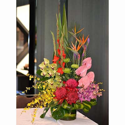 Tropical flowers bright yellow colorful orchids red banksias pink anthuriums