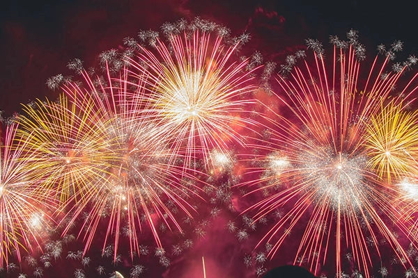 Pink and yellow fireworks against night sky