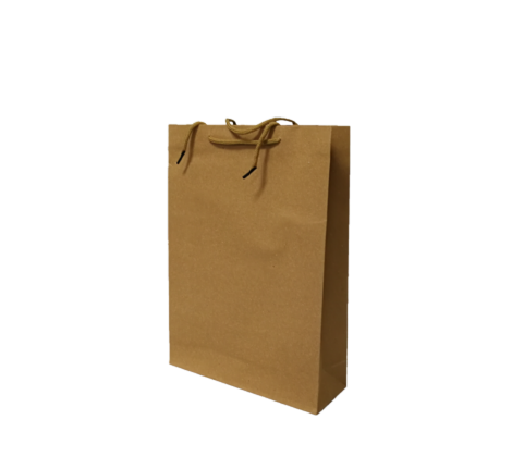 Bolsa Regalo Kraft No. 3 – Distribuidora Continental