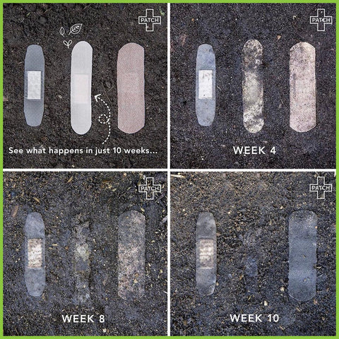 Four photos showing a PATCH plaster and two other plasters composting at 0, 4, 8 and 10 weeks.