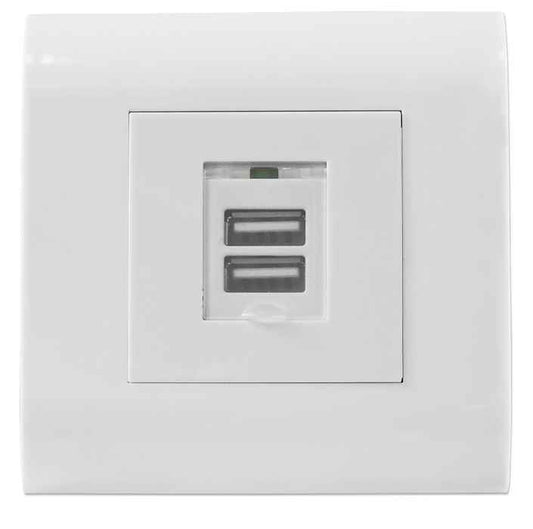 Prise murale Avec 2 x USB Intellinet