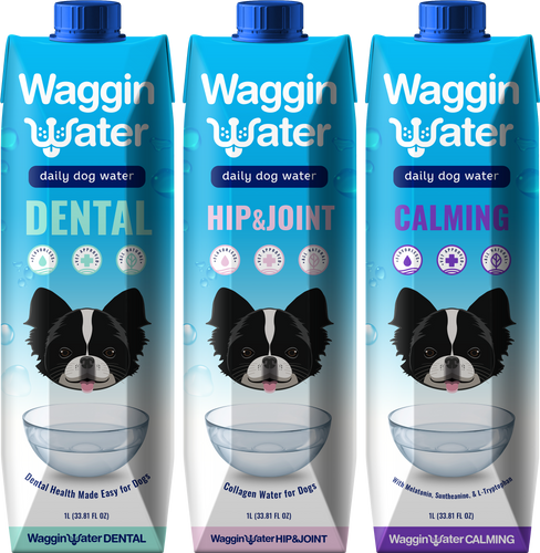 Water Dogs #523 Watermelon Seed