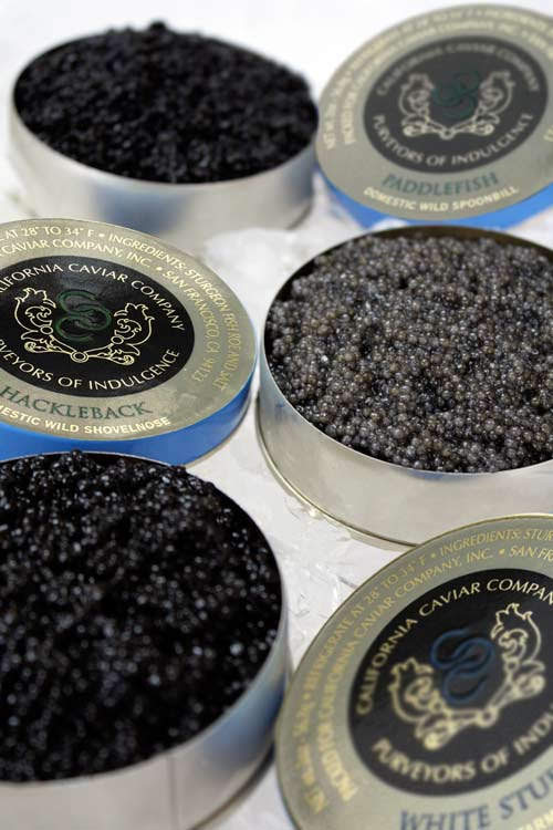 How to Serve and Store Caviar – California Caviar Company