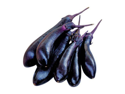 Millionaire Hybrid Eggplant, Eggplant: Vermont Bean