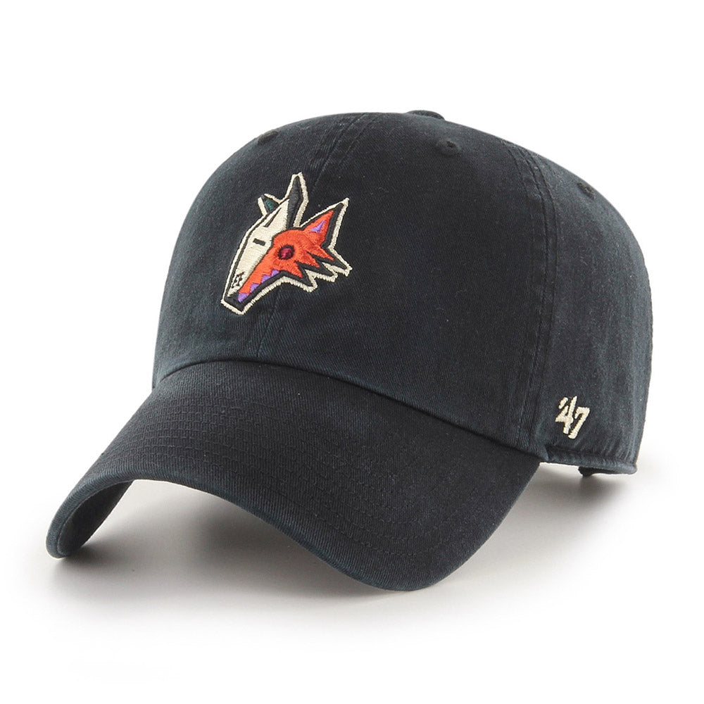 phoenix coyotes hat