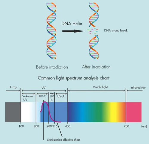 Light Spectrum Chart Depicting UVC wavelength comparison