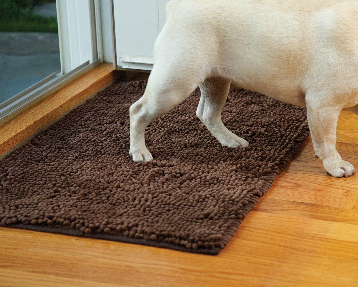 clean pooch mat reviews