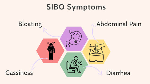SIBO symptoms (3).jpg__PID:8ff6da66-11d6-4fa7-a4ab-1542ea8bea6f