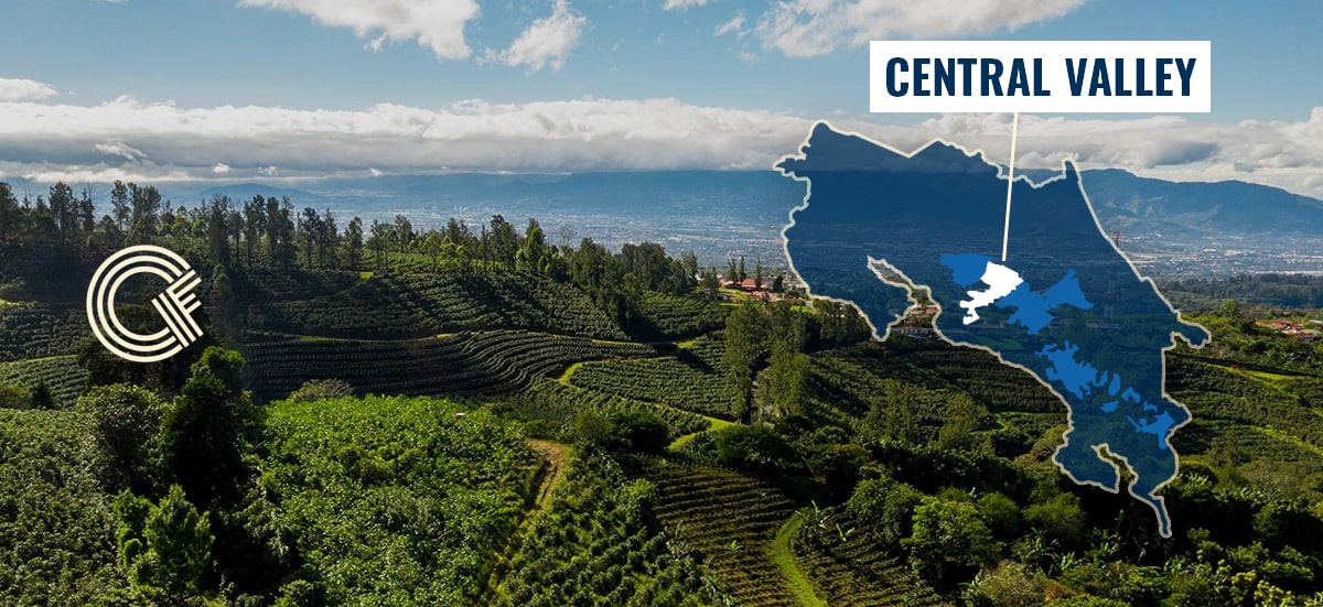 Central Valley Coffee Region - Costa Rica Coffee