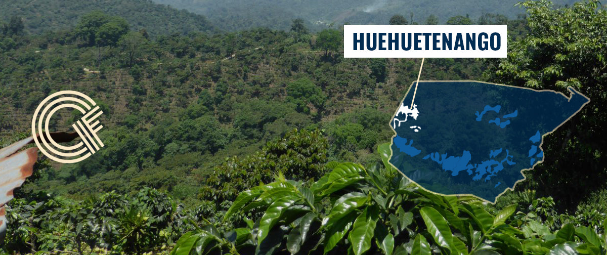 Huehuetenango Coffee Region Guatemala