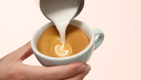 Rosetta Latte Art - How to Pour a Rosetta Latte Art