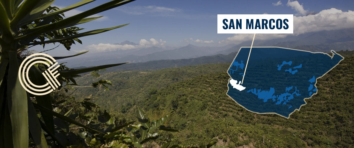 San Marcos Coffee Region Guatemala