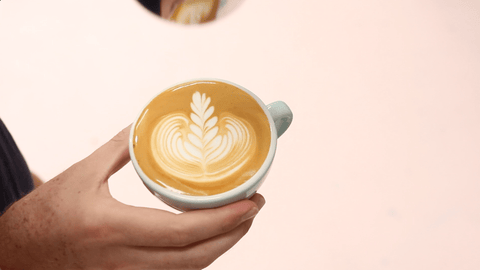 Latte Art: Tulip vs Rosetta - Detailed Comparison Guide