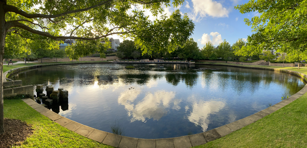 Beautiful Pond Without Algae Issues