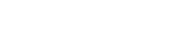 shopify expert logo