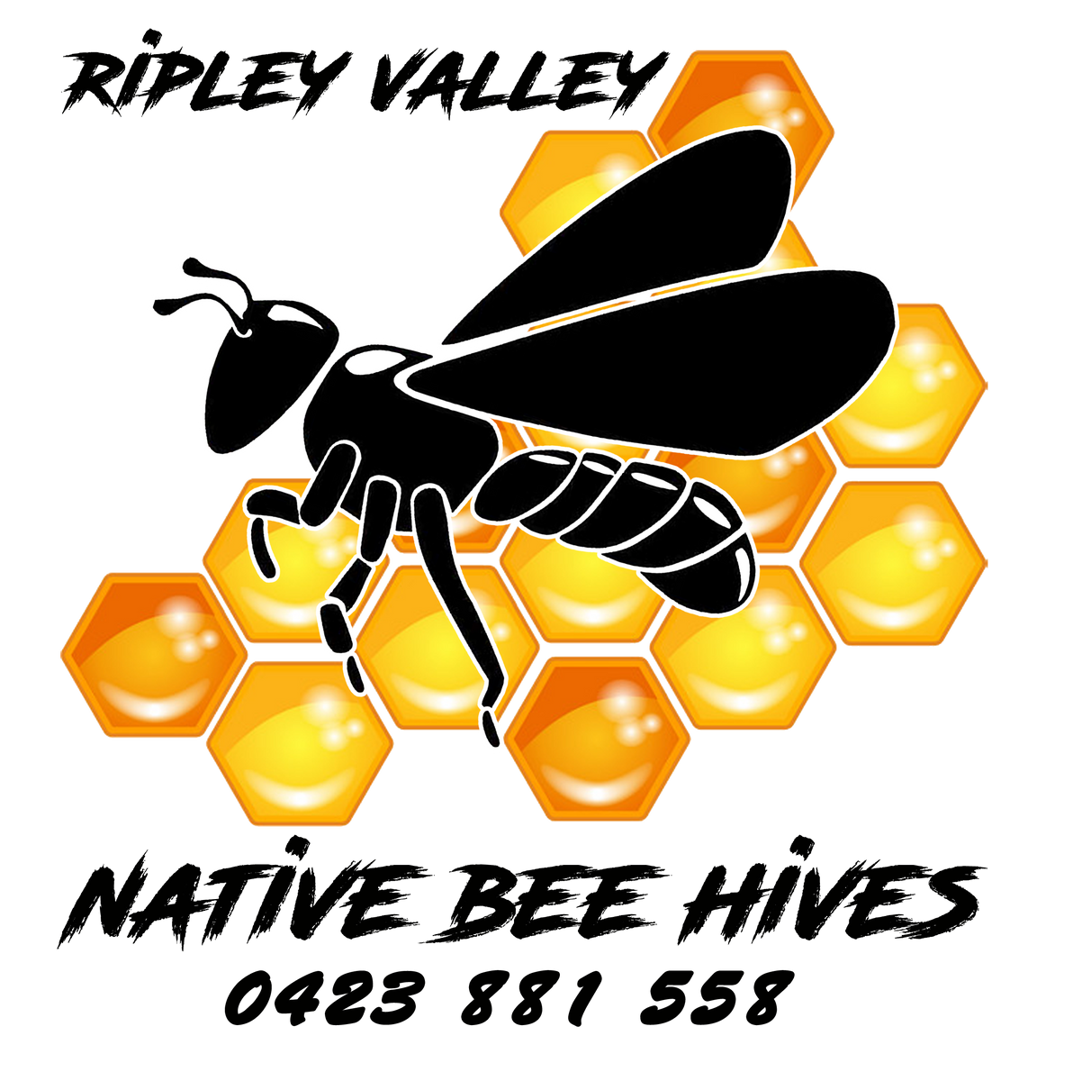 Ripley Valley Native Bee Hives