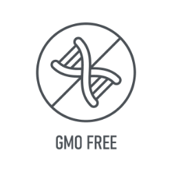 Matcha & Beyond - GMO Free Logo