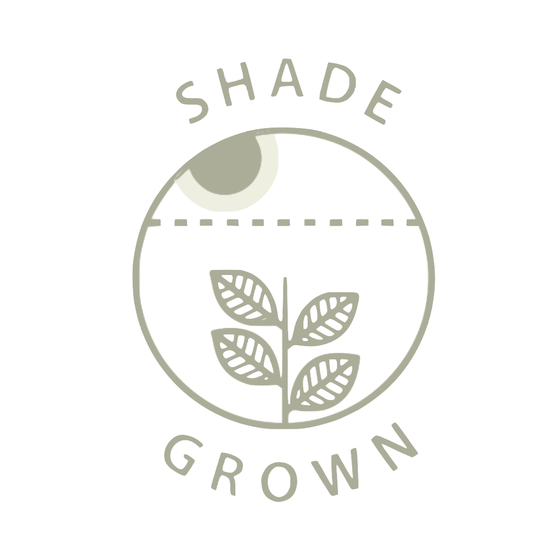 Matcha & Beyond - Shade Grown Logo
