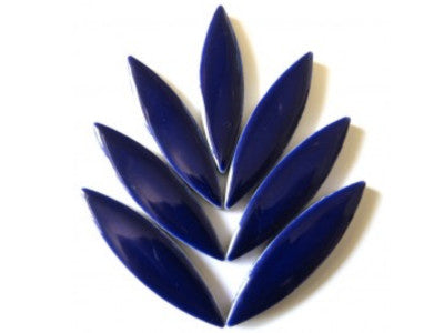 indigo flower roughly 20 petals