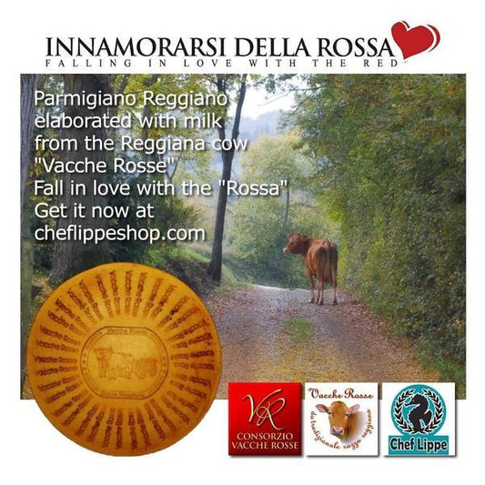 DLM Whole Wheel Parmigiano-Reggiano