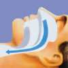 Normal Airway Open