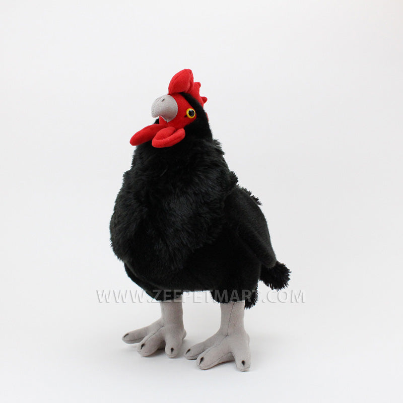 black chicken plush