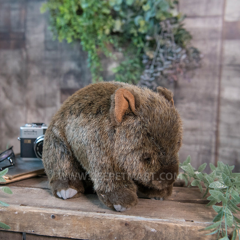 沸騰ブラドン ぬいぐるみ ウォンバット カモノハシ カンガルー コアラ オーストラリア