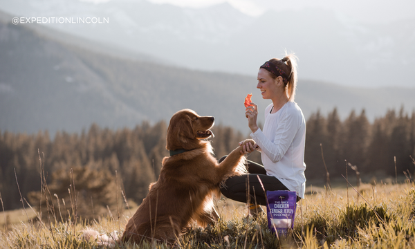 A girl is practicing tricks with her golden retriever while on a hike in the mountains. She is rewarding her dog with Natural Rapport Chicken Jerky
