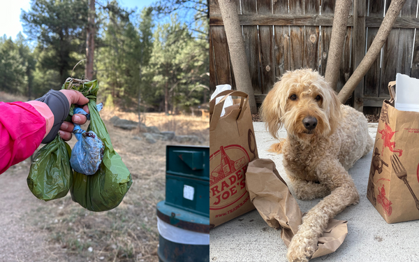 A hand shown holding many dog poop bags that were cleaned up after being left on the trail, and a dog poses by trash from cleaning up around the neighborhood.