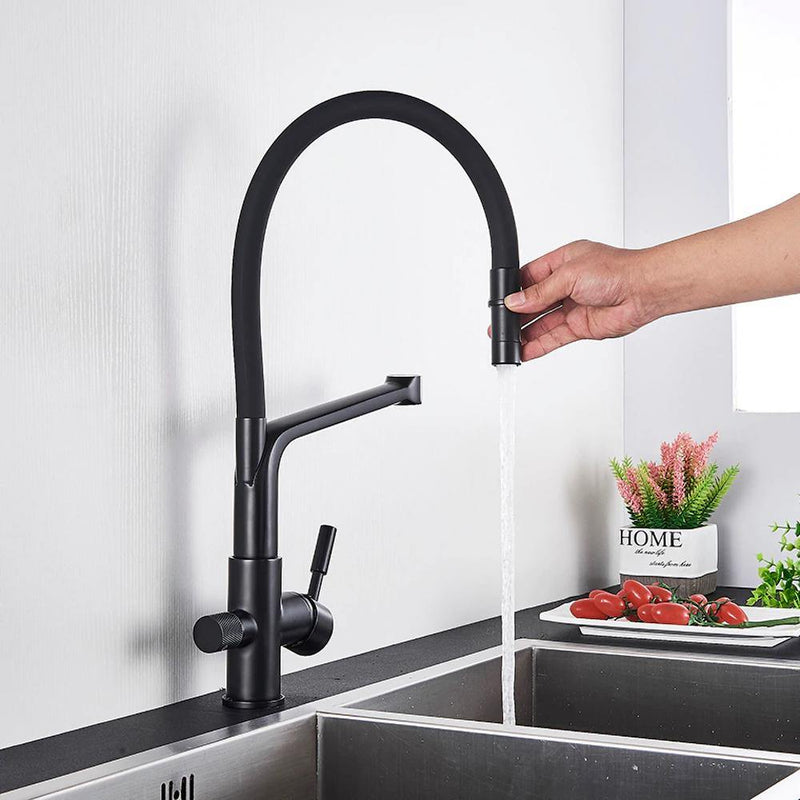 Ahronsohn Kitchen Faucet Single-Hole Dual Handle Pull-Down Spout with ...