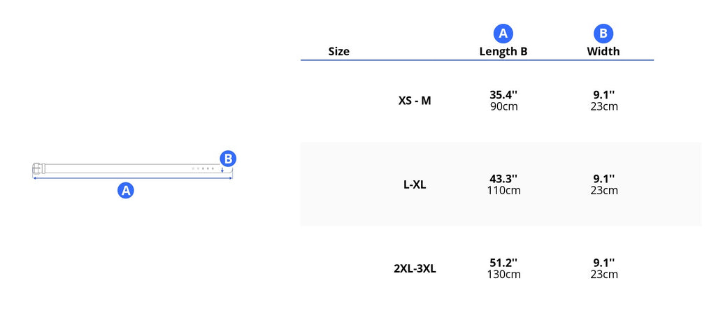 trainer size chart