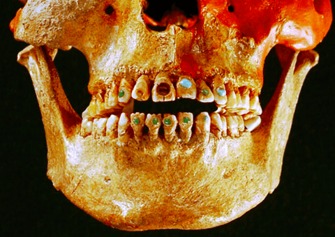 mayan teeth