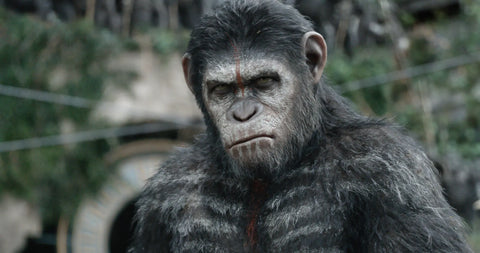 Koba planet of the apes