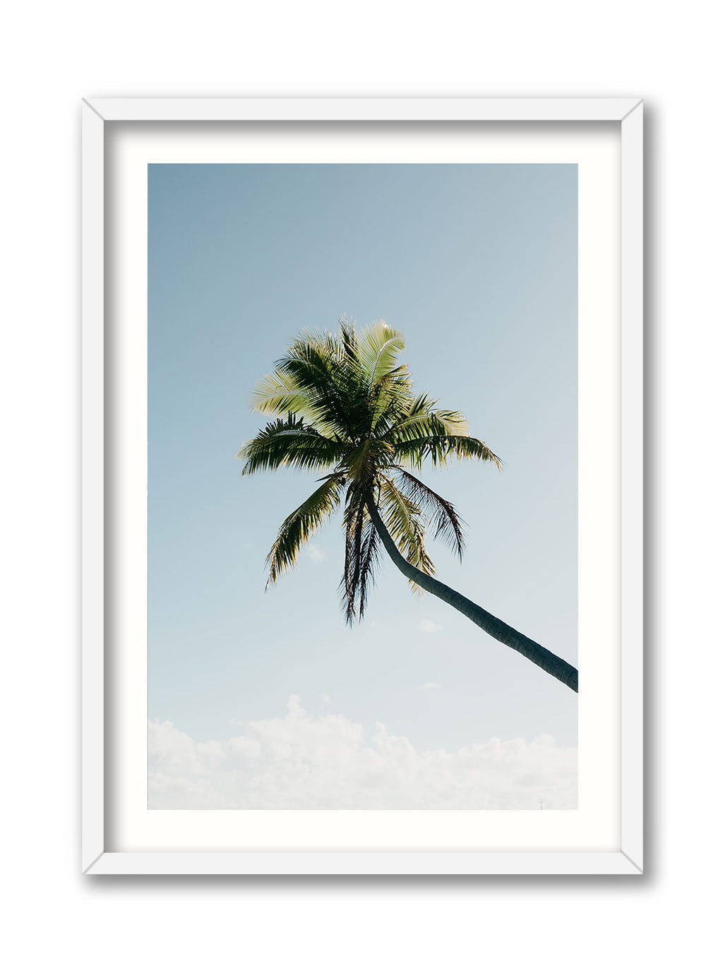 Fakarava Palm Tree – Driftward