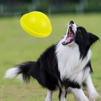 Indoor Gliding Squeaky Dog Toy