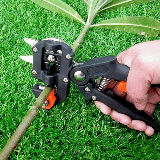 Professional Garden Grafting Tool Kit